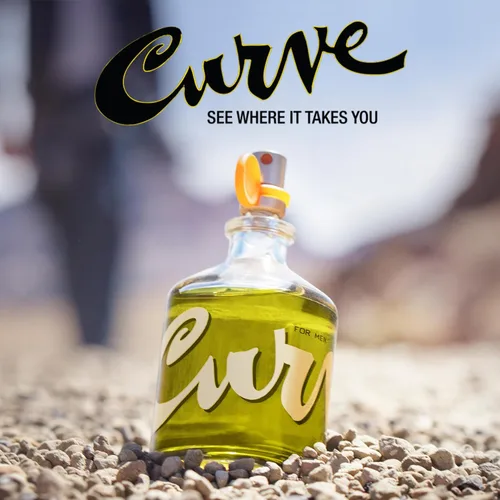 Vista 10 de Curve for Men - Colonia en aerosol, aroma magnético de madera picante para día o noche, 1.0 fl oz