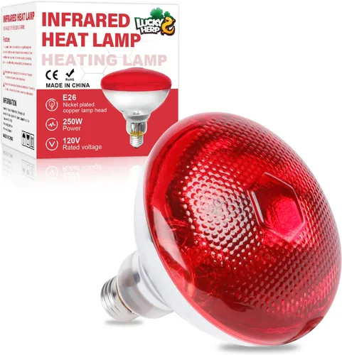 Vista 9 de LUCKY HERP Bombillas de lámpara de calor para pollos, lámpara de calor infrarroja de 150 W, 1 paquete, bombillas rojas para reptiles, mascotas