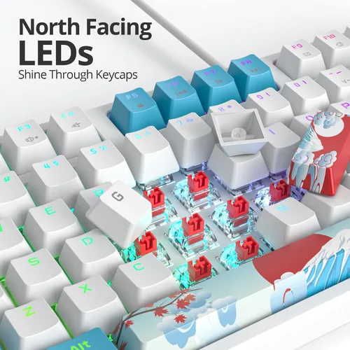 Vista 2 de Teclado mecánico 75% para juegos con interruptor rojo, teclado retroiluminado LED RGB blanco y azul, 87 teclas compacto TKL teclado de computadora
