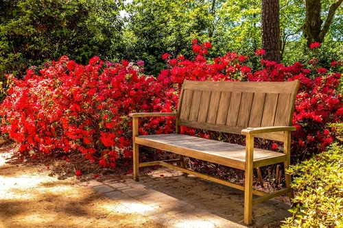 Vista 2 de 10 semillas de flores de arbusto Cumberlandense ROJO Cumberland Azalea Rhododendron Cumberlandense