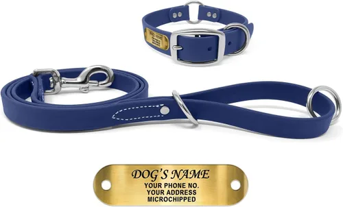 Vista 18 de Regal Dog Products Collar de Perro Naranja Mediano con Placa de Nombre Grabada Personalizada - Ajuste Personalizado, Resistente, Fácil de Limpiar