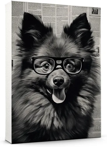Vista 38 de Thuan Affenpinscher - Póster de lienzo con tus fotos, arte de pared para decoración del hogar, regalo conmemorativo para amantes de las mascotas