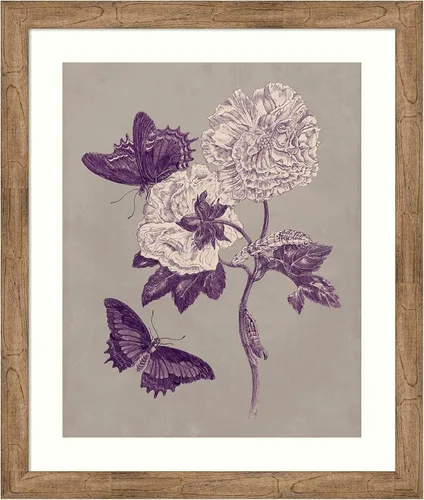 Vista 11 de Amanti Art Lienzo decorativo para pared, 24 x 20 pulgadas, estudio de la naturaleza en ciruela y gris pardo IV por Maria Merian, arte de pared