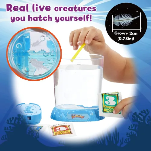 Vista 5 de Los monos marinos originales - Zoo oceánico - Kit de ciencia para criar tus propias mascotas - Incluye huevos, alimentos y purificador de agua