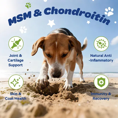 Vista 3 de Suplemento masticable para cadera y articulaciones para perros con glucosamina, condroitina y MSM - Masticables de apoyo articular con vitaminas C