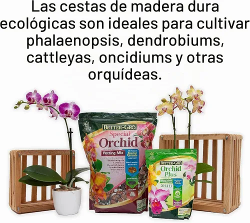 Vista 5 de Better-Gro - Cesta cuadrada de madera, 8 pulgadas Handcrafted natural wood basket with a classic, attractive square shape; provides excellent