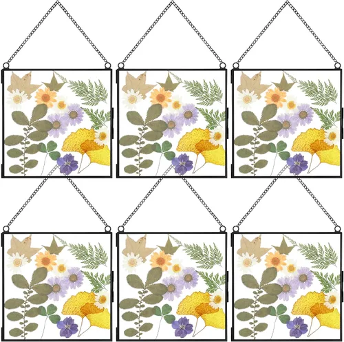 Vista 8 de Treela Marcos de vidrio con flores prensadas de 6 x 6 pulgadas, marco de fotos de doble vidrio para colgar, marcos flotantes cuadrados transparentes