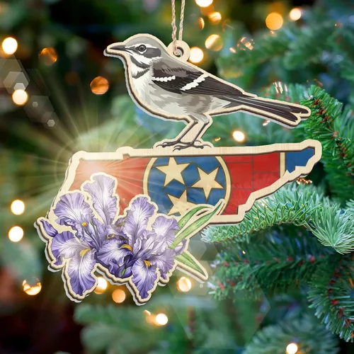 Vista 12 de FLAGWIX Regalos de Navidad de Puerto Rico para mujeres y hombres, adornos de madera 2025 para decoración de árboles, adorno de Navidad de Puerto