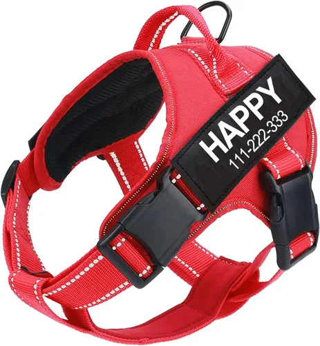 Vista 9 de Arnés para perro con nombre personalizado con parche personalizado, chaleco para mascotas sin tirones, fácil control para entrenamiento de caminatas
