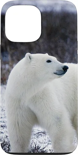 Vista 24 de Polar Bears Animal Nature Case for iPhone 17