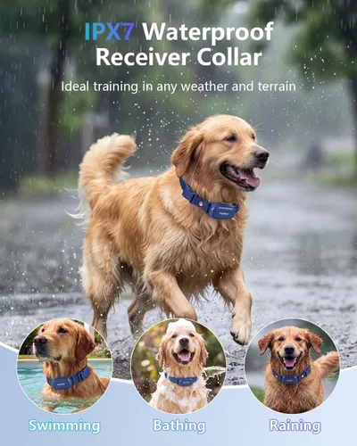 Vista 4 de PATPET Collar de choque para perros – Collar de entrenamiento de perros de 4000 pies con control remoto, IPX7 impermeable 4 modos