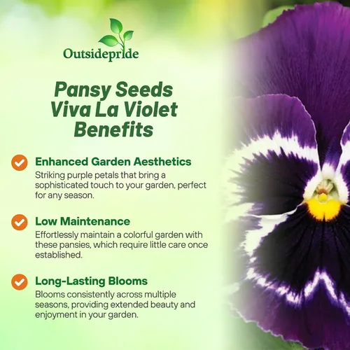 Vista 3 de Outsidepride Viva La Violet Viola - Semillas de pensamiento para plantar, 50 piezas. Flores bienales, resistentes al frío y aptas para polinizadores