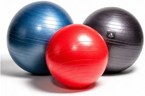 Vista 5 de ECO-WISE Aeromat - Pelota de fitness (25.6 in), color negro