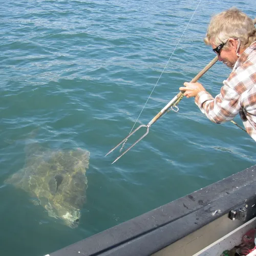 Vista 3 de 4 lanza de pesca de acero inoxidable con 2 puntas, gancho roscado de 0.315 pulgadas para aparejos de pesca al aire libre