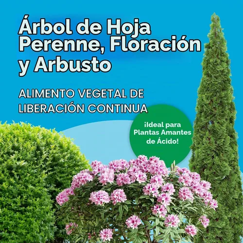 Vista 3 de Scotts Árbol de hoja perenne, árbol y arbusto en flor Alimento vegetal