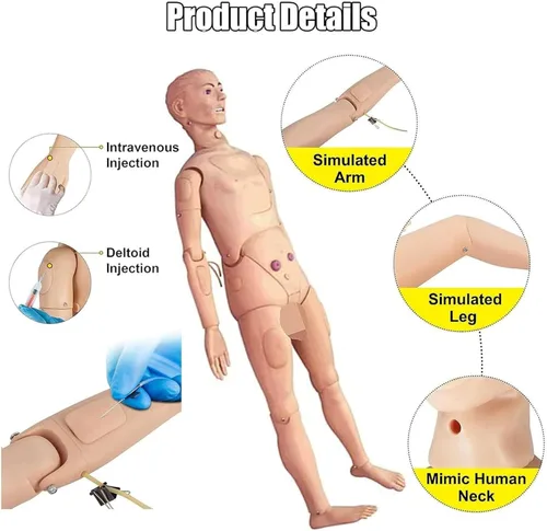 Vista 3 de Maniquí médico para entrenamiento, cuidado del paciente, maniquí médico de 5.57 pies, tamaño natural, maniquí de entrenamiento de enfermería