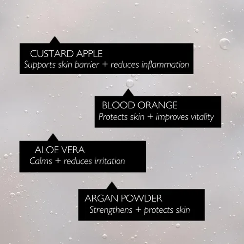 Vista 2 de UpCircle Dúo potenciador de elasticidad – Suero peptídico e hidratante facial Duo – Niacinamida, Tripéptido + Aloe Vera – Aumenta el colágeno +