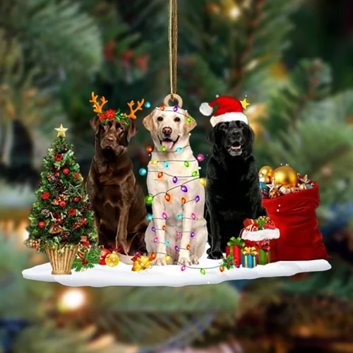 Vista 30 de Nazenti Adorno de Navidad personalizado con amigos Affenpinscher – Adorno de perro personalizado para amantes de las mascotas, acrílico plano