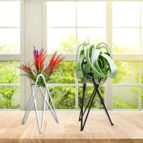 Vista 8 de ljhnba Soporte para plantas de aire de estilo nórdico, soporte de maceta de metal, soporte geométrico de hierro Tillandsia, exhibición de arte