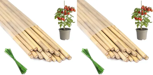 Vista 7 de Estacas para plantas de 3 pies, estacas de bambú natural, 25 estacas