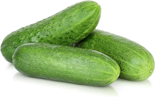 Vista 5 de TKE Farms & Gardens - Semillas de pepino, 8 rectas, 55 semillas de pepino sin OMG, ideales para rebanar, ensaladas y encurtidos crujientes, incluye