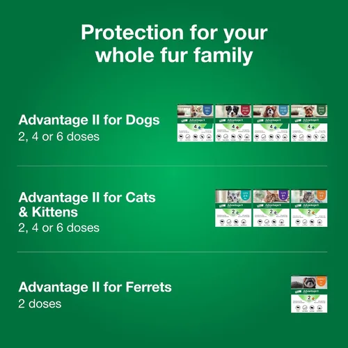 Vista 6 de Advantage II Tratamiento y prevención de pulgas recomendado por veterinarios para gatos grandes Gatos de más de 9 libras Suministro para 3 meses