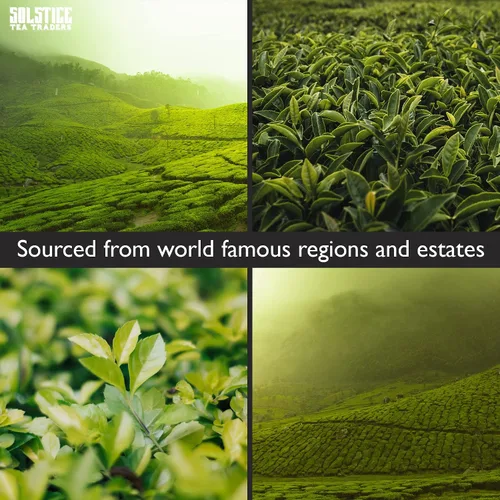 Vista 7 de Solstice Loose Leaf Tea Ultimate Sampler Feat. 12 té; té verde Sencha y pólvora, té negro Masala Chai, té de hierbas Rooibos y más! Aproximadamente
