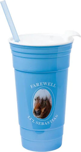 Vista 9 de Silver Buffalo Disney Encanto Family is Everything - Vaso de plástico de 32 onzas con tapa y popote