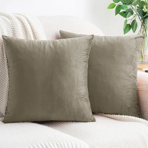 Vista 32 de HWY 50 fundas de almohada decorativas de terciopelo sólido para sofá, sala de estar., Terciopelo, gris, 20x20 pulgadas