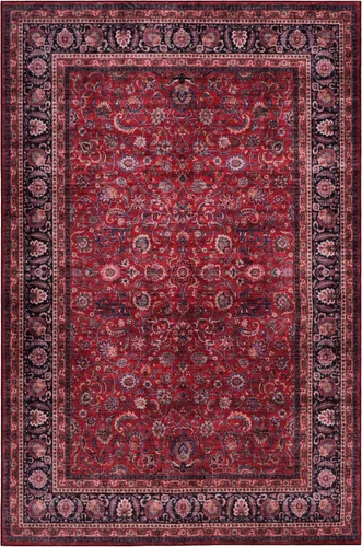 Vista 91 de GLN Rugs Traditional Collection - Alfombra de felpilla lavable a máquina, tradicional lavable, antideslizante, alfombra de felpilla de pelo corto