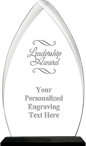 Vista 24 de Crown Awards Premio Acrílico Personalizado con Grabado Gateway Skyline de 6.75 Pulgadas