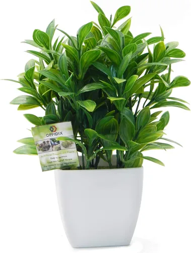 Vista 9 de OFFIDIX - Plantas artificiales de eucalipto con florero cuadrado blanco, pequeño árbol artificial para decoración de escritorio de oficina