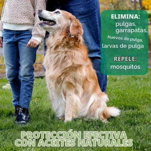 Vista 3 de Hartz Nature's Shield - Champú para perros Flea & Tick Protección botánica maximizada y prevención con aceites de canela, citronela y romero, 14