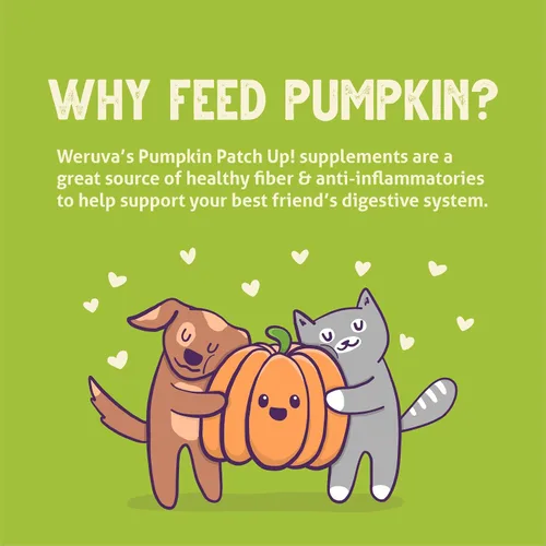 Vista 8 de Weruva ¡Parche de calabaza! Bolsas de calabaza para perros y gatos