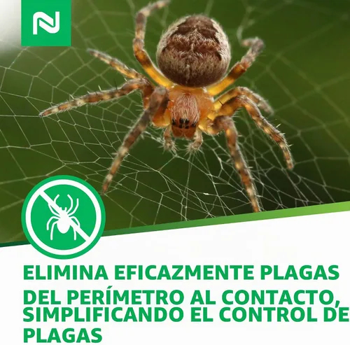 Vista 8 de Out Web eliminador de telarañas