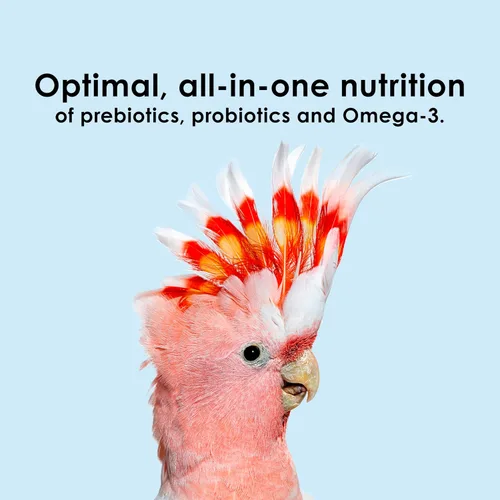 Vista 5 de Kaytee Nutri Soft Pet - Alimento para pájaros de guacamayo y cacatúa, 3 libras
