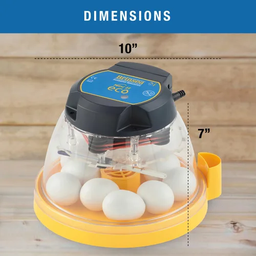 Vista 6 de Brinsea Mini II Eco Incubadora manual de huevos con recarga externa de agua, circulación de aire asistida por ventilador para incubar 10 pollo, pato