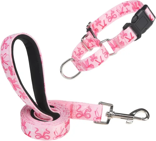 Vista 11 de Martingale - Juego de collar y correa para perro, para caminar, jugar, entrenar, collares reflectantes ajustables con correa para perros pequeños