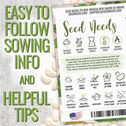 Vista 3 de Seed Needs Semillas de Frijol Lima para Plantar Frijoles Henderson Lima - Semillas de Vegetales Heirloom Sin OMG y Sin Tratar para Plantar un Jardín