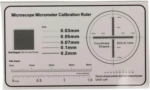 Vista 6 de Microscopio digital USB, aumento de 50X a 1600X con luz LED, portátil para teléfono inteligente y computadora, material ABS