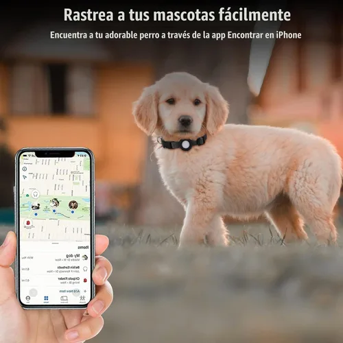 Vista 2 de Compatible con collar de perro Airtag, collar de perro ajustable con hebilla de cierre rápido duradera, collar de perro de nailon de imitación