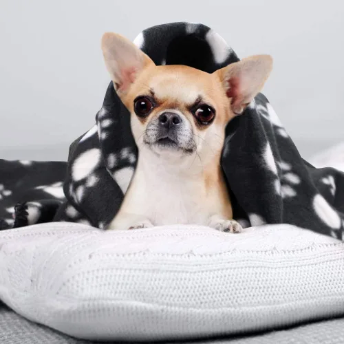Vista 4 de Comsmart - Manta cálida con estampado de huellas para perros y gatos