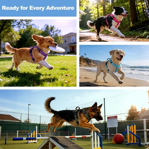 Vista 8 de Arnés Anti-Tirones para Perros con Asa, Malla Suave Acolchada Ajustable para Perros Pequeños, Medianos y Grandes Arnés Reflectante de Paseo Fácil