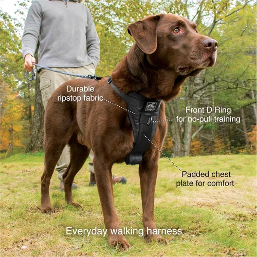 Vista 4 de Kurgo Tru-Fit - Arnés inteligente para caminar para perros, ajuste cómodo, arnés ajustable, ropa reflectante para mascotas, liberación rápida