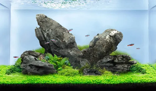 Vista 19 de LANDEN Piedras de Dragón Naturales (16 libras, 2~8 pulgadas, 7-8 piezas) para Aquascaping, Terrarios, Paludarios, Vivarios, Recintos de Reptiles