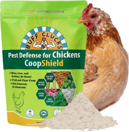 Vista 6 de Buff Clucks Coop-Care Bundle – Mezcla de hierbas de 8 onzas y CoopShield Natural + DE en polvo Hierbas aromáticas de forraje para pollos