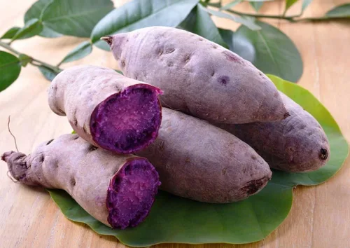 Vista 2 de Batata morada japonesa (1 LB) Excelentes rendimientos y sabor. Se almacena bien.