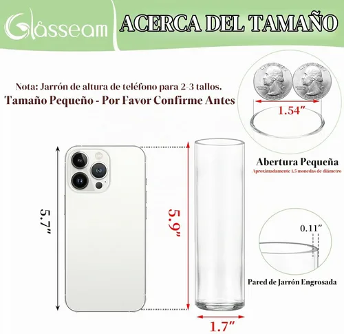 Vista 2 de Glasseam Pequeño florero de cristal: 12 jarrones cilíndricos para centros