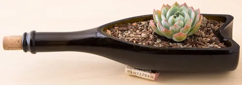 Vista 5 de Bonsai Jack Suelo para Suculentas y Cactus - Mezcla Granulada de Jack #111 - 2 Cuartos de Galón - Drenaje Rápido - Combate la Pudrición