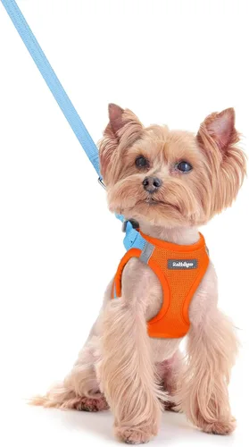Vista 64 de rabbitgoo Arnés para perro de tamaño pequeño y juego de correa, chaleco Cachorros de manzana
